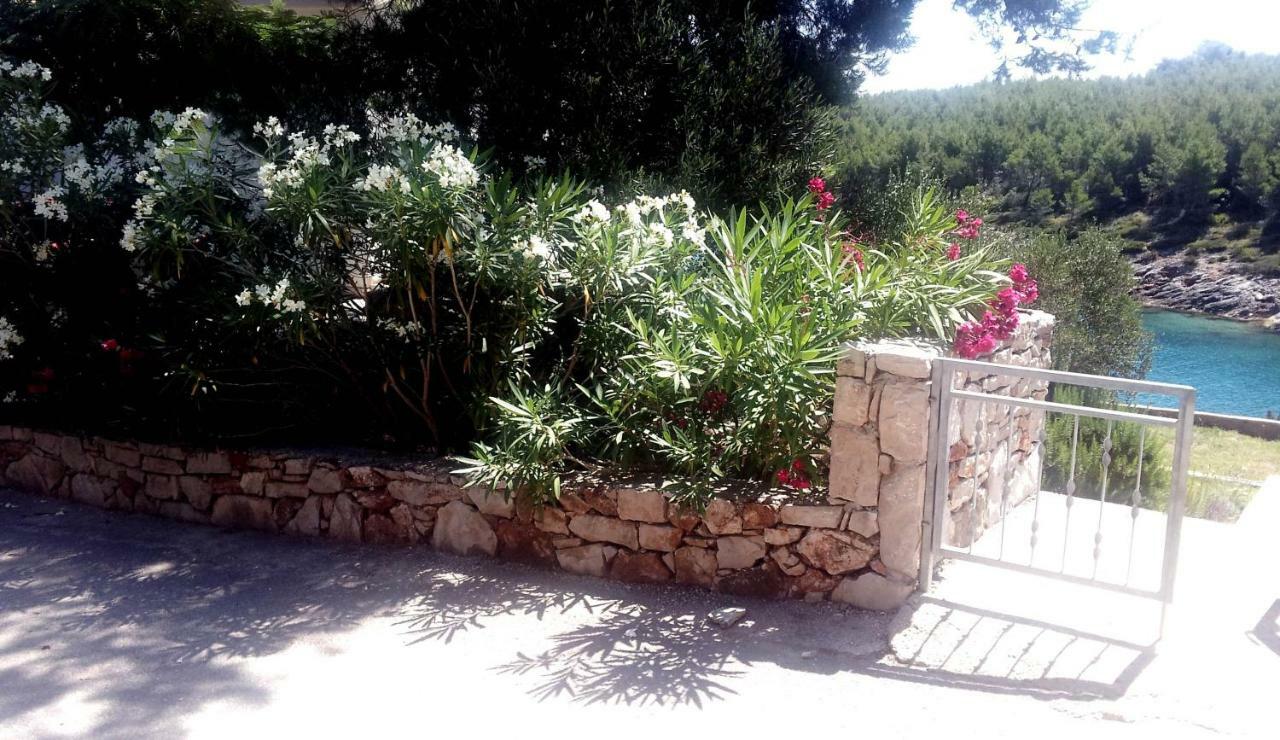 Hvar Melody, Island Hvar, Rosohotnica Bay
