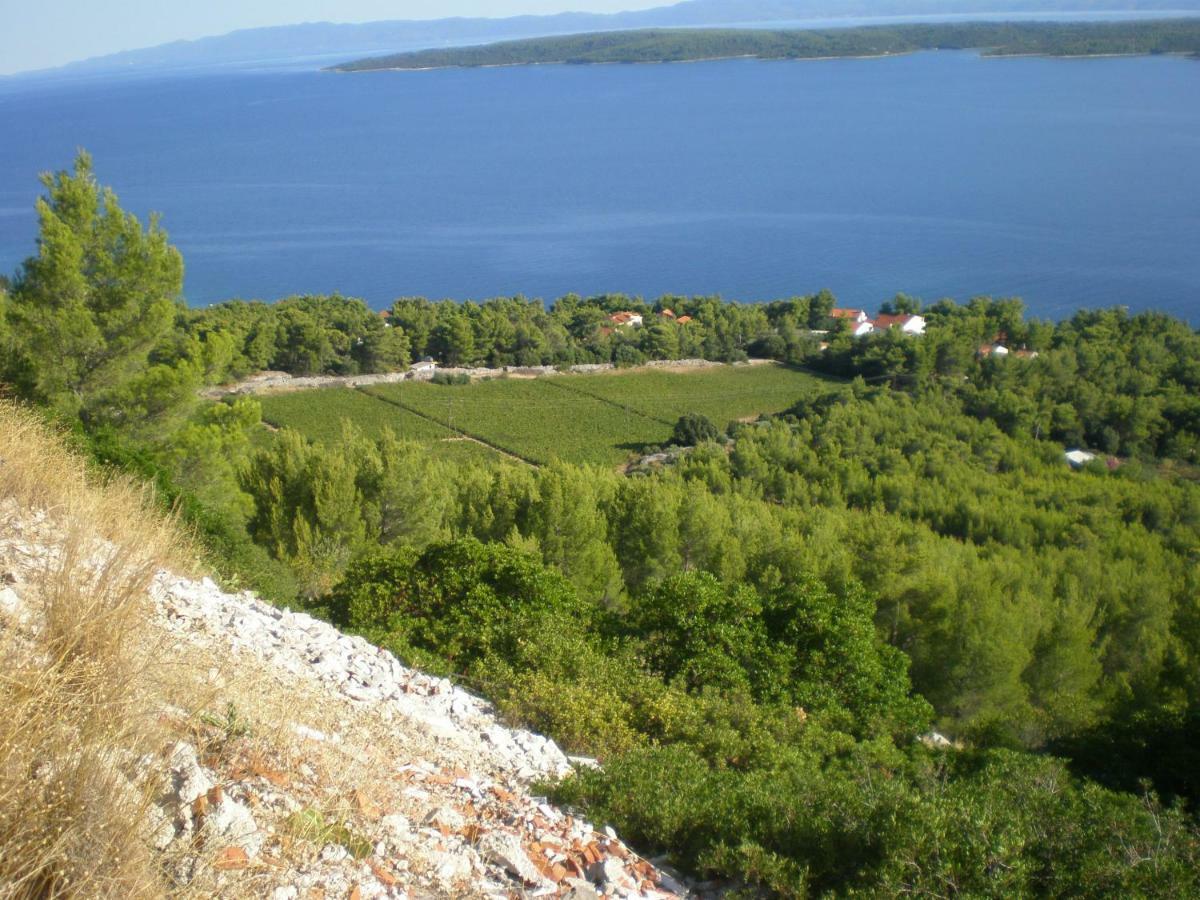 Hvar Melody, Island Hvar, Rosohotnica Bay * Basina
